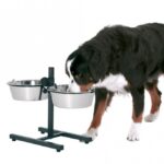 Voerbakstandaard Hoogteverstelbaar voor Twee Bakken – Karlie Otis Plus - Afbeelding 4