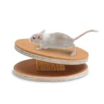 Loopschijf Kurkbekleed – Karlie Flamingo Bogie Disc