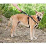 Veiligheidstuig Kunstleer voor de Auto – Karlie Flamingo - Afbeelding 2