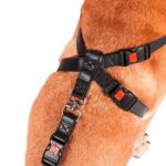 Veiligheidstuig Kunstleer voor de Auto – Karlie Flamingo - Afbeelding 3