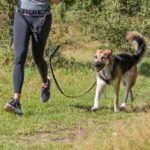 Honden Riem Heupgordel met Schokdemping voor Joggen – Trixie