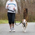 Honden Riem Heupgordel met Schokdemper voor Joggen – Trixie