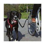 Hondenriem Veerdemping voor Fietsen – Trixie Biker-Set