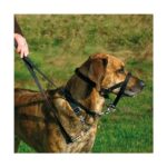 Opleidingshalster Hoofdbevestiging – Trixie Top Trainer - Afbeelding 2