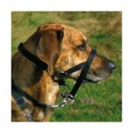 Opleidingshalster Hoofdbevestiging – Trixie Top Trainer - Afbeelding 3