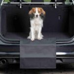 Bumperbeschermer Snelle Bevestiging voor Auto – Trixie - Afbeelding 2