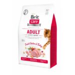 Brit Care Cat Grain-Free – adult activiteit ondersteuning kip kalkoen – droogvoer kat – hypoallergeen
