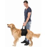 Tilhulp Verstelbaar Buikomvang – Trixie - Afbeelding 2