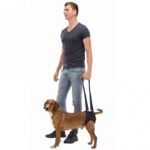 Ondersteuningsharnas Neopreen Voorhand en Achterhand – Trixie - Afbeelding 2