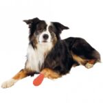 Verbandband Zelfklevend met Bitterstof – Trixie 4 Rollen - Afbeelding 2