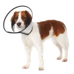 Beschermkraag Transparant met Klittenband voor Halsomvang – Trixie - Afbeelding 2