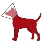 Beschermkraag Transparant met Klittenband voor Halsomvang – Trixie - Afbeelding 3