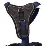 Honden Tuigje Y-vorm Indigo – Trixie Premium Y-Geschirr - Afbeelding 2