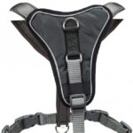 Y-Harnas met Brede Borstpad en Neopreenvoering – Trixie - Afbeelding 2