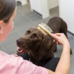 Borstel Dubbelzijdig van Bamboe voor Lang-, Ruw- en Korthaar – Trixie - Afbeelding 4