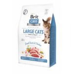 Brit Care Cat Grain-Free grote katten eend kip power vitaliteit – droogvoer kat – hypoallergeen