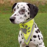 Reflecterend Halsdoek – Trixie Sicherheitshalstuch - Afbeelding 2