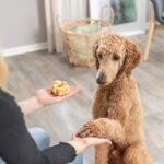 Hondensnack Collageen Twists met Kippenvlees – Trixie Denta Fun - Afbeelding 2