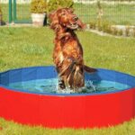 Hondenzwembad Opvouwbaar Anti-slip – Karlie DOGGY POOL