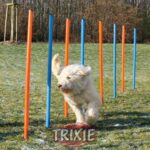 Agility Slalomstokken 12-delig Trainingsset – Trixie Agility Slalom