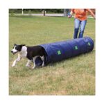 Agility Tunnel Opvouwbaar voor Kleine Honden – Trixie