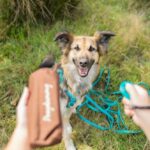 Speeldummy Canvas Bruin voor Jachttraining – Trixie Preydummy - Afbeelding 2