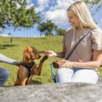 Speeldummy Canvas Bruin voor Jachttraining – Trixie Preydummy - Afbeelding 3