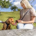 Speeldummy Canvas Bruin voor Jachttraining – Trixie Preydummy - Afbeelding 4