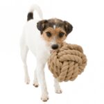 Touwbal Katoen-Polyester voor Honden – Trixie BE NORDIC - Afbeelding 3