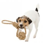 Speeltouw met Gevlochten Bal – Trixie BE NORDIC - Afbeelding 4