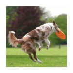 Hondendisc Bijtbestendig voor Discjogging – Trixie - Afbeelding 4
