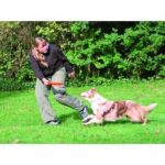 Hondendisc Bijtbestendig voor Discjogging – Trixie - Afbeelding 2