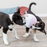 Pluche Knuffel Geluidloos voor Puppy’s 20 cm – Trixie Junior Bär - Afbeelding 3