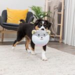 Pluche Knuffel Geluidloos voor Puppy’s 20 cm – Trixie Junior Bär - Afbeelding 4