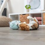 Puppyknuffel Pluche Geruisloos 14 cm – Trixie Junior - Afbeelding 4