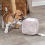 Pluche Knuffel Geluidloos voor Puppies – Trixie Junior Fuchs 13 cm - Afbeelding 4