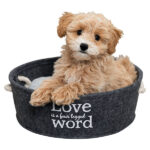 Rond Viltkussen met Verstevigde Rand voor Katten en Kleine Honden – Trixie Lian - Afbeelding 4