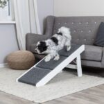 Loopplank met Uitklapbare Treden voor Hogere Plekken – Trixie