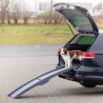 Opvouwbare Loopplank Antislip voor Auto – Trixie 3-fach - Afbeelding 3