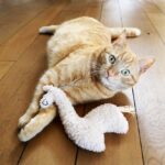 Pluchen Kattenspeeltje Navulbaar met Kattengras – D&D Home Loki - Afbeelding 3
