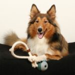 Hondenspeelgoed Natuurrubber met Katoenen Touw – D&D Home Nora - Afbeelding 3