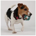 Knoopbal 100% Katoen oor Apporteren en Trekken – D&D Home Skip - Afbeelding 3