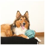 Knoopbal 100% Katoen oor Apporteren en Trekken – D&D Home Skip - Afbeelding 4