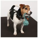 Hondenspeelbal Knoop met lus voor apport en trekken – D&D Home Harper - Afbeelding 2