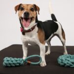 Hondenspeelgoed Knoopbal Katoen – D&D Home Kurt - Afbeelding 2