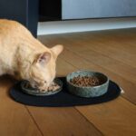 Voerbakmat Absorberend Ovaal – D&D Home Phil - Afbeelding 3