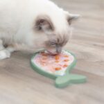 Likmat Vismotief Antislip voor Katten – Trixie Lick'n'Snack - Afbeelding 3