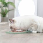 Likmat Vismotief Antislip voor Katten – Trixie Lick'n'Snack - Afbeelding 4
