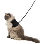 Kattentuig Gepolsterd – Trixie Softgeschirr - Afbeelding 3