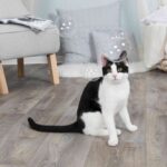 Bellenblaasvloeistof met Kattenkruid voor Spel – Trixie - Afbeelding 4